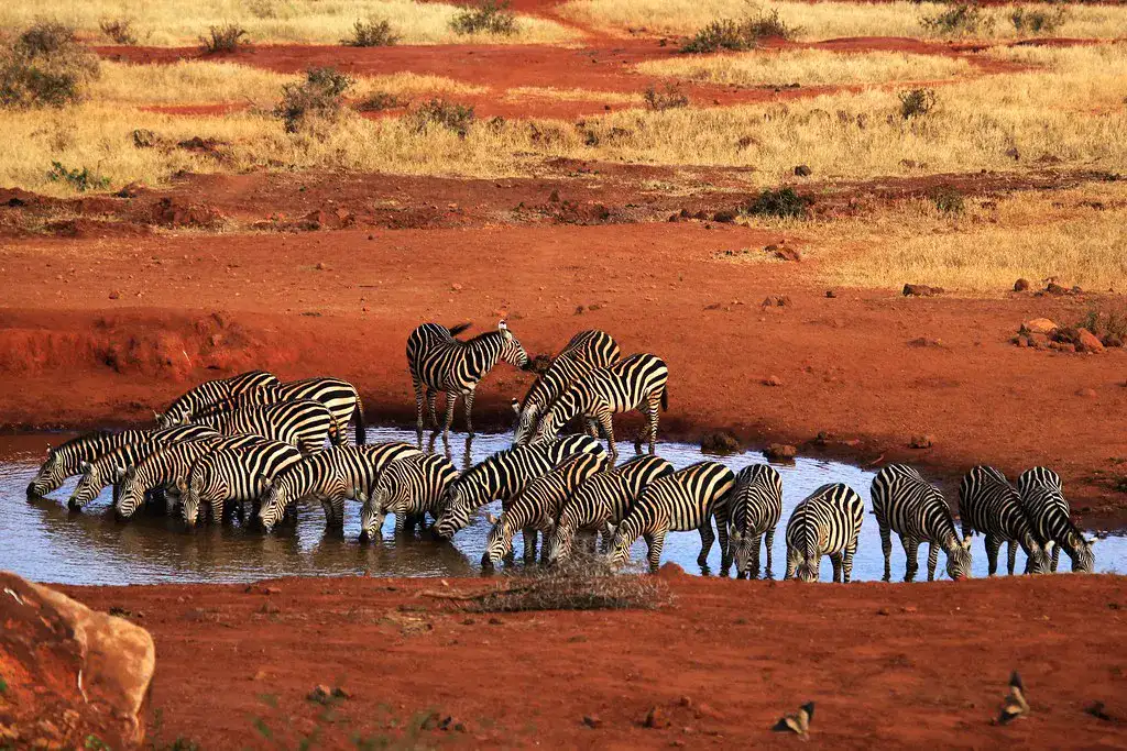 Tsavo West